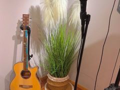 -花夏之音·成人音乐空间(彭埠店)