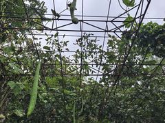 -天源渔港农庄