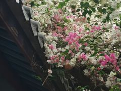 -深圳国际园林花卉博览园