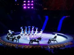 -珠海横琴长隆《卡卡虎奇遇记》