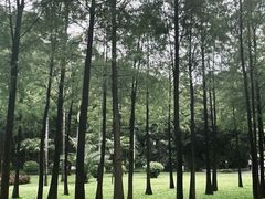 -晓港公园
