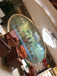 -生命加•Q考拉月子会所(玫瑰园店)