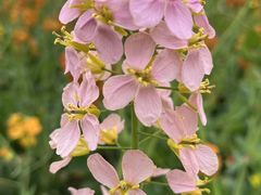 -中国天府农业博览园