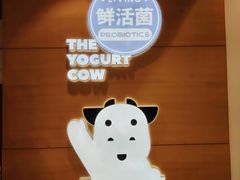 -一只酸奶牛(双流万达广场店)