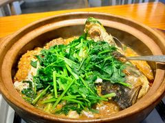 -九道菜有鸡鱼头(石鼓路店)