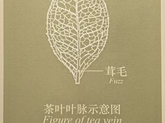 -中国茶叶博物馆(双峰馆区)