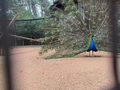 -石家庄市动物园