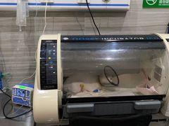 -瑞派名望志远动物医院·猫科·內科·异宠专科(直港大道店)