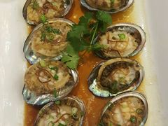 -北海渔村酒楼·粤菜海鲜点心(新华店)