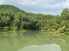 -广州白江湖森林公园