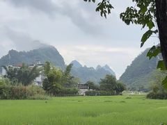 -靖西鹅泉风景区