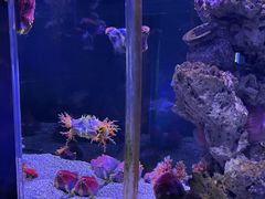 -太平洋海底世界