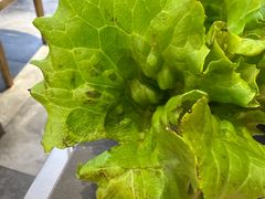 -农乐园炭火烤肉(繁花中心店)