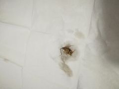 -润生堂(泰然四路店)