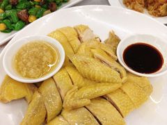 阳山大扇鸡-渔鸽皇酒楼(鸿大广场店)