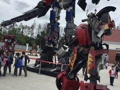 -上海长兴岛郊野公园