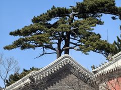 -妙峰山风景名胜区