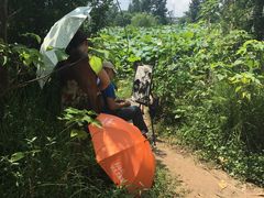 -三圣花乡旅游区