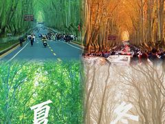-南京钟山宾馆(江苏省会议中心)