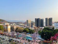 -小南山公园