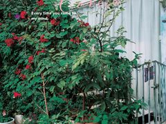 -F518时尚创意园