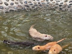 -水上乐园·欢乐世界