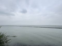 -贡湖湾湿地公园