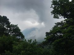 -梧桐山风景名胜区