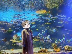 -华夏文旅海洋公园