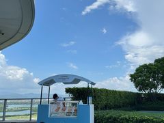 -瑰丽酒店·海吧·天际下午茶·现场DJ·天台酒吧