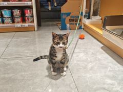 -廖记老砂锅(上清寺店)