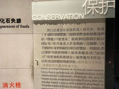 -北京周口店北京人遗址博物馆