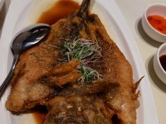 -香港狮子山下·明星粤菜餐厅(北苑店)