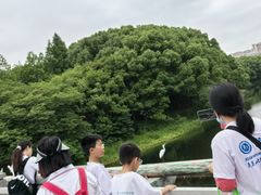 -昆山城市生态森林公园