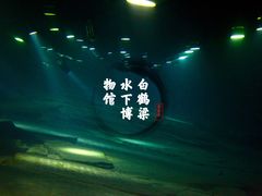 -白鹤梁水下博物馆