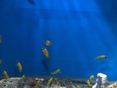 -福州罗源湾海洋世界旅游区