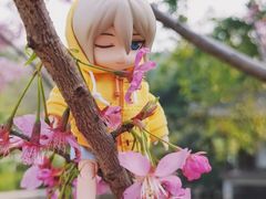 -重庆园博园