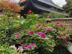 -龙华寺