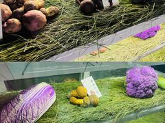 -滇野云南野生菌餐厅(陕西南路店)