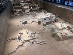 -洛阳周王城天子驾六博物馆