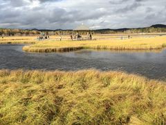 -塞罕坝国家级自然保护区