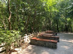 -上海佘山国家森林公园西佘山园