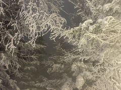 -汉拿山温泉度假酒店