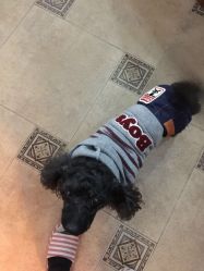 -杉惠素颜美妆皮肤管理中心