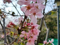 -小南山公园
