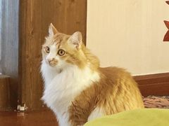 -氷冰凉刨冰甜品(北京路店)