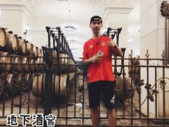 -北京张裕爱斐堡酒庄