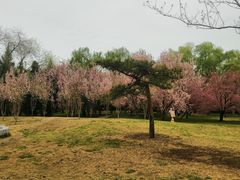 -莲花池公园