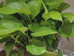 -箪食巷私房菜馆·鲁菜(玉函路店)
