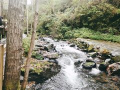 -凤凰山国家森林公园